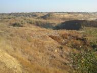 Ольшанське з panoramio.com