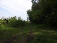 Хрящувате з panoramio.com