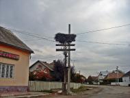 Вербовець з panoramio.com