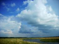 Березова Гать з panoramio.com