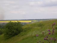 Ручки з panoramio.com