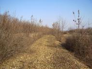 Весняне - Останні фото