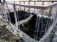 Zoryanske - Latest photos