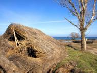 Сухолужжя з panoramio.com