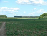 Рудка з panoramio.com