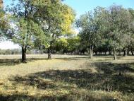 Роздольне з panoramio.com