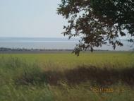 Козацьке з panoramio.com