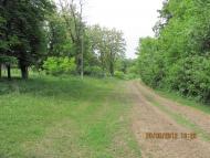 Бузникувате - Останні фото