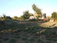 Острів з panoramio.com - Острів