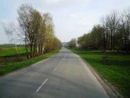 Сальниця з panoramio.com