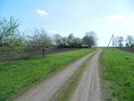 Шишкине з panoramio.com