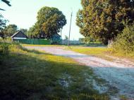 Деревини з panoramio.com