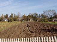 Шадура з panoramio.com