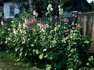 Рубанка з panoramio.com