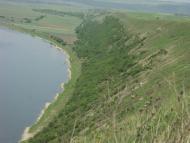 Вільховець з panoramio.com