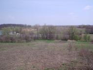 Шаліївка з panoramio.com