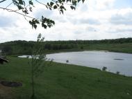 Травневое - Последние фото