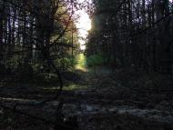 Твердомедове з panoramio.com