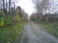 Деревини з panoramio.com