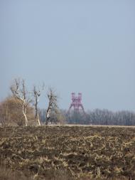 Дзержинський - Останні фото