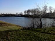 Товстоліс з panoramio.com