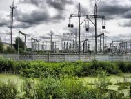 Рябці з panoramio.com