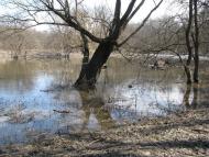 Кочережки з panoramio.com