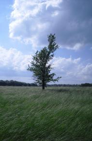 Великі Луки з panoramio.com