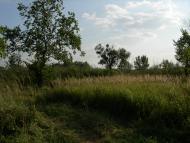 Колісники з panoramio.com