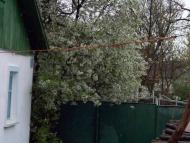 Красногірське з panoramio.com