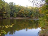 Рибальське з panoramio.com