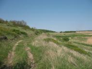 Аркадівка з panoramio.com