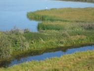 Більче з panoramio.com