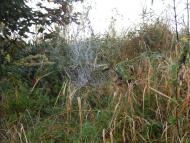 Малнів з panoramio.com