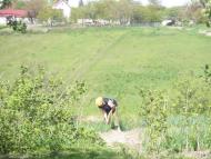 Яцьки з panoramio.com