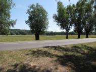 Мельники з panoramio.com