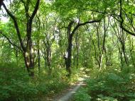 Новожеланне з panoramio.com