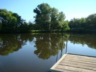 Берізка з panoramio.com