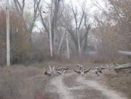 Бараниківка з panoramio.com