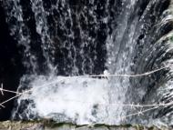 Zoryanske - Latest photos