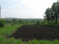 Кинашове з panoramio.com