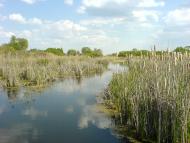 Рубанка з panoramio.com