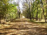 Роздольне з panoramio.com