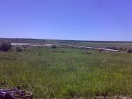 Северинівка з panoramio.com