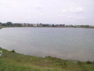 Єлиховичі з panoramio.com