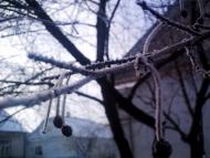 Смига з panoramio.com