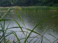 Сокільники з panoramio.com