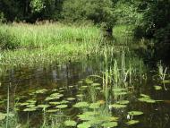 Стобихва з panoramio.com