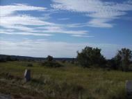 Лучки - Останні фото