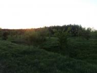 Кириківка з panoramio.com